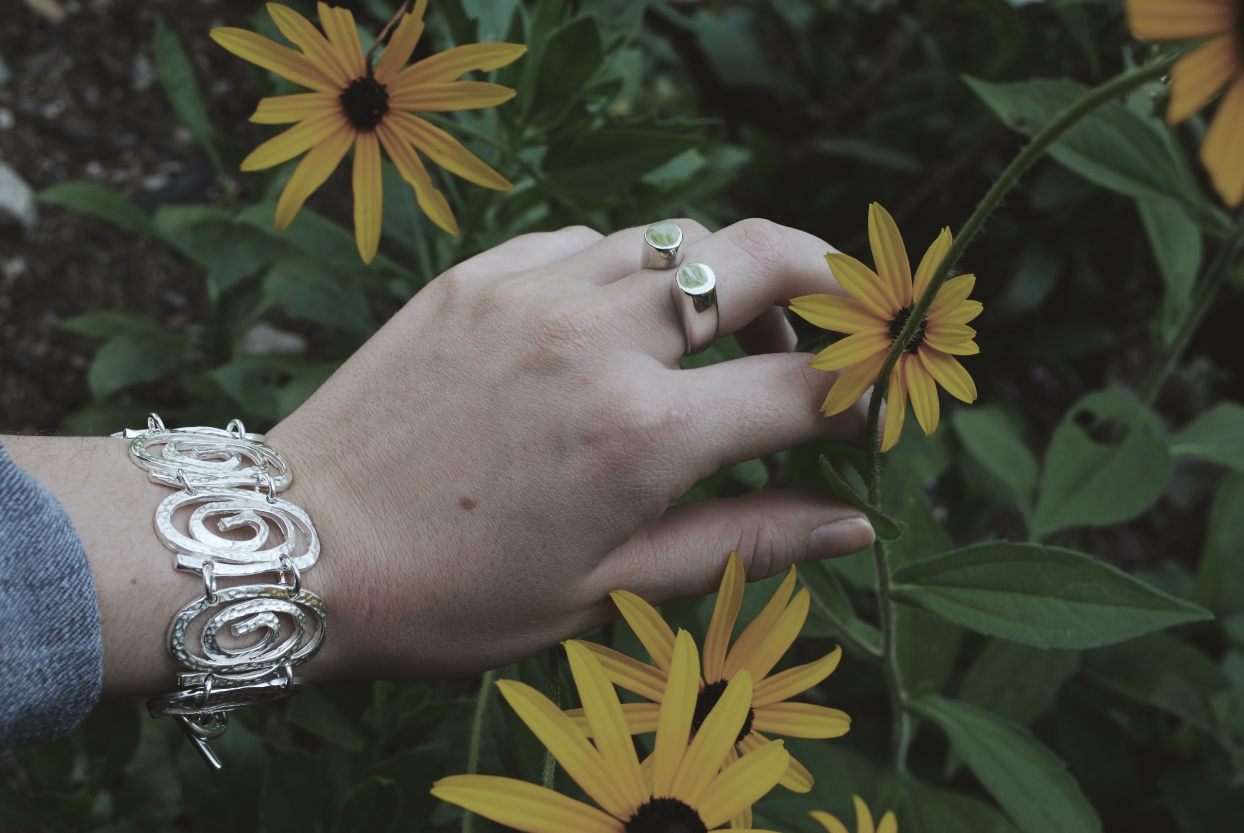 sunflowers with rings